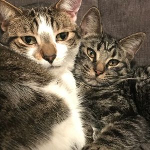 Meet your Posher, Marnie